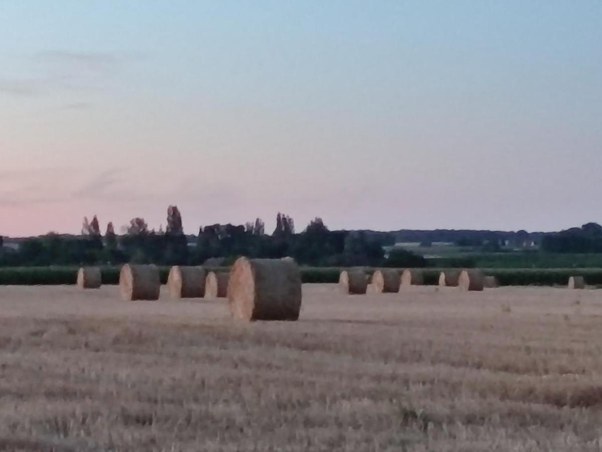 Gite Chez Jeannot Azay-le-Ferron Bagian luar foto